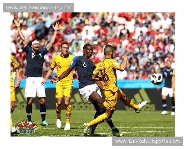 世界杯资讯全网指南：热闻、战术与球迷互动